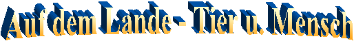 Gemaeldeansicht